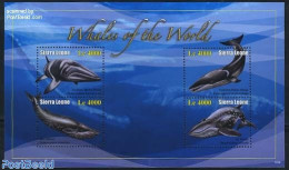 Sierra Leone 2010 Whales 4v M/s, Mint NH, Nature - Animals (others & Mixed) - Sea Mammals - Other & Unclassified