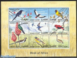 Sierra Leone 2000 African Birds 9v M/s, Mint NH, Nature - Birds - Other & Unclassified