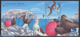 Ascension 2001 Birdlife World Bird Festival S/s, Mint NH, Nature - Bird Life Org. - Birds - Ascension (Ile De L')