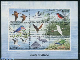 Sierra Leone 2000 African Birds 9v M/s, Mint NH, Nature - Birds - Sonstige & Ohne Zuordnung