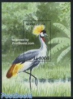 Sierra Leone 2000 Birds S/s, Balearicaregulorum, Mint NH, Nature - Birds - Other & Unclassified
