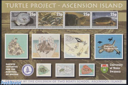 Ascension 2000 Turtles S/s, Mint NH, Nature - Various - Reptiles - Turtles - Maps - Art - Children Drawings - Aardrijkskunde