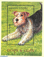 Sierra Leone 2000 Fox Terrier S/s, Mint NH, Nature - Dogs - Autres & Non Classés