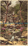 R663234 Dartmoor. Becky Falls. Postcard - Monde