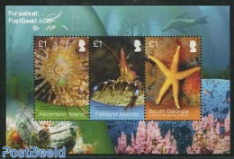 Ascension 2013 Marine Life S/s, Mint NH, Nature - Various - Fish - Shells & Crustaceans - Joint Issues - Poissons