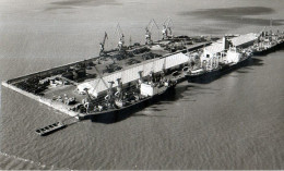 La Rochelle (17) : Cargos Dans Le Port De La Pallice Circa 1960 - Orte