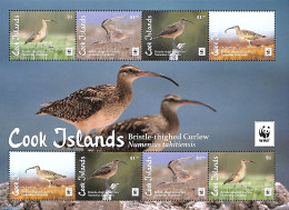 Cook Islands 2017 WWF, Birds M/s, Mint NH, Nature - Birds - World Wildlife Fund (WWF) - Other & Unclassified