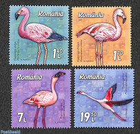 Romania 2021 Flamingo 4v, Mint NH, Nature - Birds - Neufs