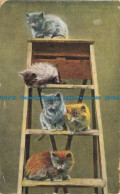 R663289 Kittens On The Stairs. Bobby. Postcard. 1912 - Monde