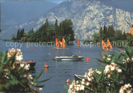 72339691 Malcesine Lago Di Garda Uferpartie Am Gardasee Windsurfen Malcesine - Altri & Non Classificati