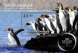 South Georgia / Falklands Dep. 2023 Frozen Planet S/s, Mint NH, Nature - Birds - Penguins - Autres & Non Classés