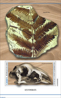Guinea, Republic 2023 Fossils, Mint NH, Nature - Prehistory - Autres & Non Classés