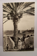 RABAT   - Vue Du Jardin Des  Oudaia - Rabat