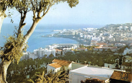 ALGERIE ENVIRONS D ALGER - Sonstige & Ohne Zuordnung