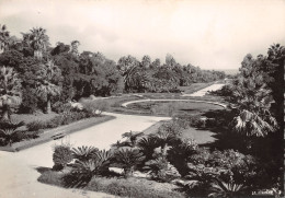 ALGERIE ALGER JARDIN D ESSAI - Alger