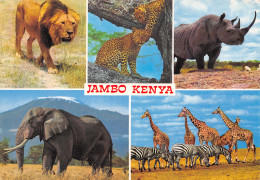 KENYA JAMBO - Kenia