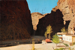 MAROC LES GORGES TODRA - Other & Unclassified