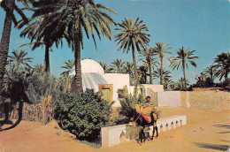 TUNISIE GABES OASIS - Tunisia