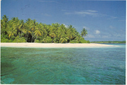 MALDIVES ISLANDS - Maldive