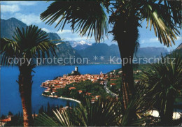 72338873 Malcesine Lago Di Garda Panorama Gardasee Alpen Malcesine - Autres & Non Classés