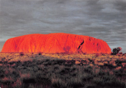AUSTRALIE AYERS ROCK AT SUNSET - Other & Unclassified