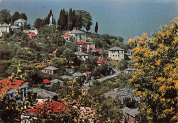 GRECE PELION ZAGORA - Grèce