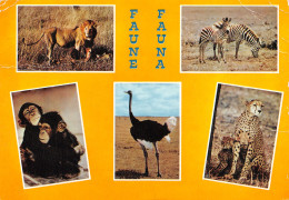 TANZANIA FAUNE AFRICAINE - Tansania
