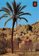 MAROC TAFRAOUT - Andere & Zonder Classificatie