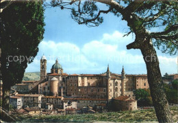 72338853 Urbino Panorama Dom Palazzo Ducale Urbino - Autres & Non Classés