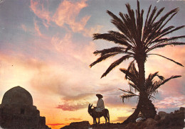 TUNISIE COUCHER DE SOLEIL - Tunisie