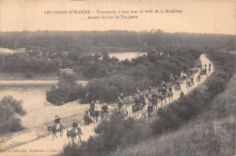 85 LES SABLES D OLONNE ANES DANS LA FORET DE LA RUDELIERE - Sables D'Olonne