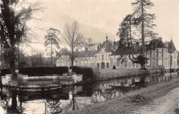 77 DAMMARTIN SUR TIGEAUX LE CHÂTEAU DE STE AVOYE - Autres & Non Classés