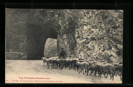 CPA Aulus, Les Pyrénées Ariégeoises, Tunnel De Kercabanac, Route De St-Girons à Aulus  - Saint Girons