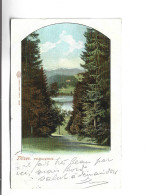 CPA TITISEE FELDBERGBLICK En 1904! (voir Timbre) - Titisee-Neustadt