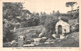 29 TREBOUL LES SABLES BLANCS - Tréboul