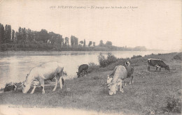 40 POYANNE BORDS DE L ADOUR - Sonstige & Ohne Zuordnung