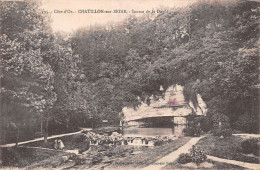 21 CHATILLON SUR SEINE SOURCE DE LA DOULX - Chatillon Sur Seine