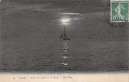 22 BINIC CLAIR DE LUNE SUR LA BAIE - Binic