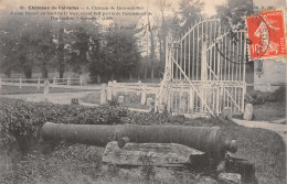 14 LION SUR MER LE CHÂTEAU - Altri & Non Classificati