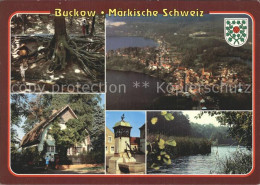 72337074 Buckow Maerkische Schweiz Naturdenkmal Wurzelfichte Brecht Weigel Haus  - Sonstige & Ohne Zuordnung