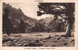 63 LE MONT DORE VALLEE D ENFER TAXE - Le Mont Dore