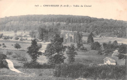 78 CHEVREUSE VALLEE DE CHOISEL - Chevreuse