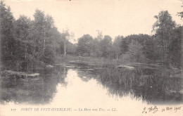 77 FONTAINEBLEAU FORET - Fontainebleau