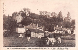 21 CHATILLON SUR SEINE - Chatillon Sur Seine