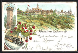 Lithographie Wien-Kahlenberge, Hotel, Aussichtsturm, Berg-Bahn  - Other & Unclassified