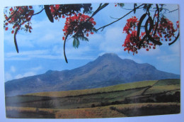 FRANCE - MARTINIQUE - La Montagne Pelée Vue Du Morne Aux Boeufs - Autres & Non Classés