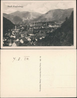 Ansichtskarte Kapfenberg Panorama Stadt Und Fabriken 1924 - Other & Unclassified
