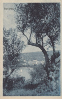 Slovenia   -  Portorose   -  Portoroze  -  Panorama  -  F. Piccola  -  Viagg  -  Bella Veduta Panoramica - Slovénie