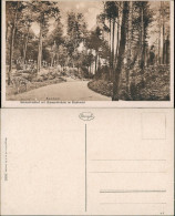 Ansichtskarte Aachen Stadtwald Heldenfriedhof Bismarcksäule 1922 - Aachen