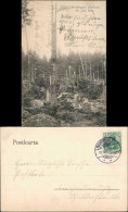Ansichtskarte Hahnenklee-Bockswiese-Goslar Windbruch 17. Juni 1904 - Goslar